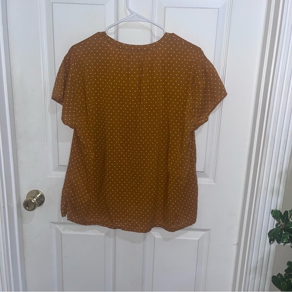 Brown Polka Dot Women's Top - Picture 3 of 4